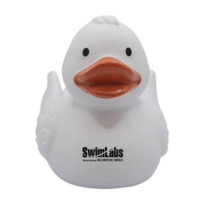 SwimLabs: Wingy Duck